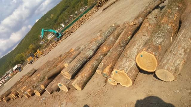 wooden-resource 原木资源